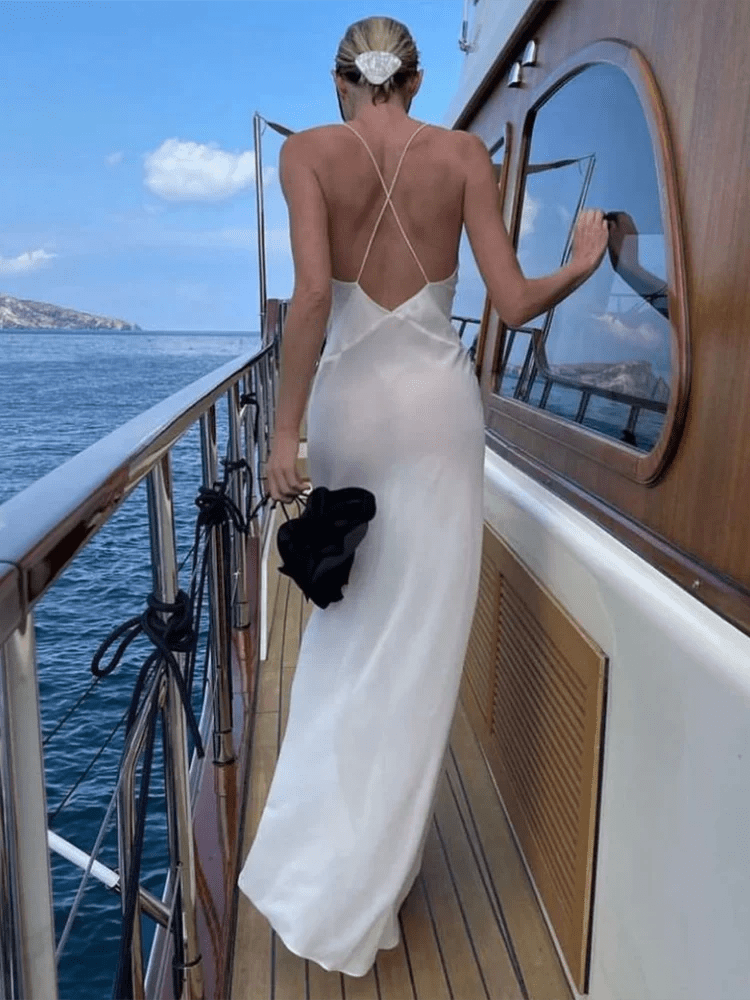 Deep V Sheer Silk Maxi Dress